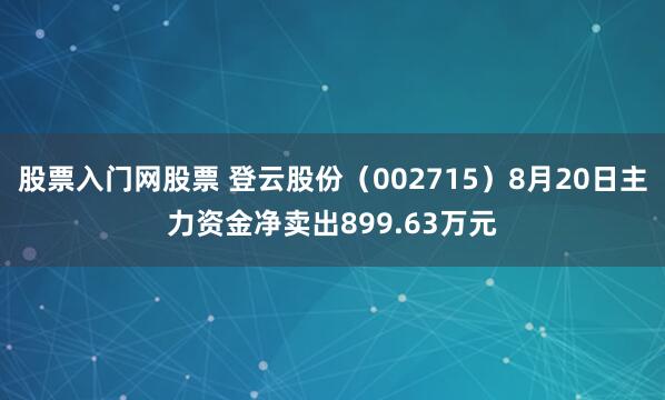 股票入门网股票 登云股份（002715）8月20日主力资金净卖出899.63万元