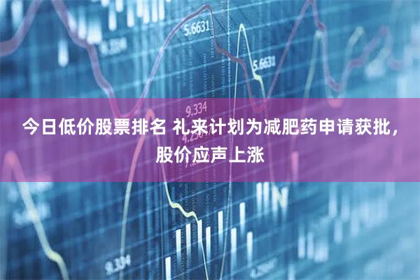 今日低价股票排名 礼来计划为减肥药申请获批，股价应声上涨