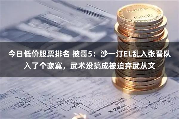 今日低价股票排名 披哥5：沙一汀EL乱入张晋队入了个寂寞，武术没搞成被迫弃武从文