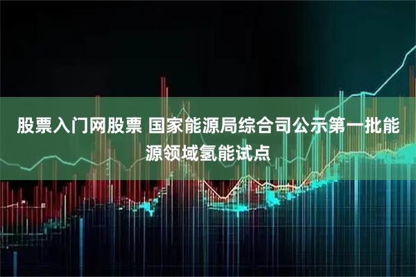 股票入门网股票 国家能源局综合司公示第一批能源领域氢能试点