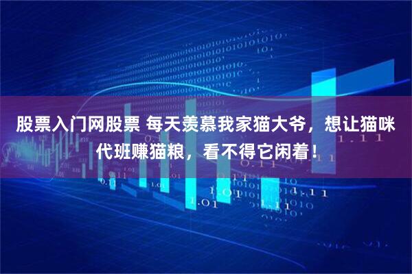 股票入门网股票 每天羡慕我家猫大爷，想让猫咪代班赚猫粮，看不得它闲着！